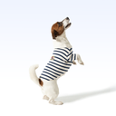 BLYC_PARISIAN PUP SHIRT